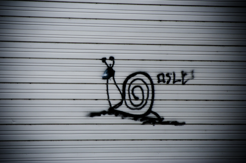 Snail and Graffiti