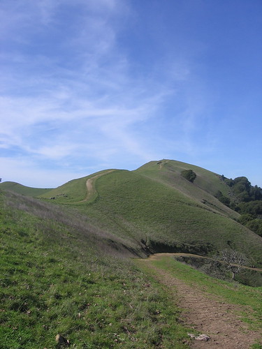Elderberry Trail
