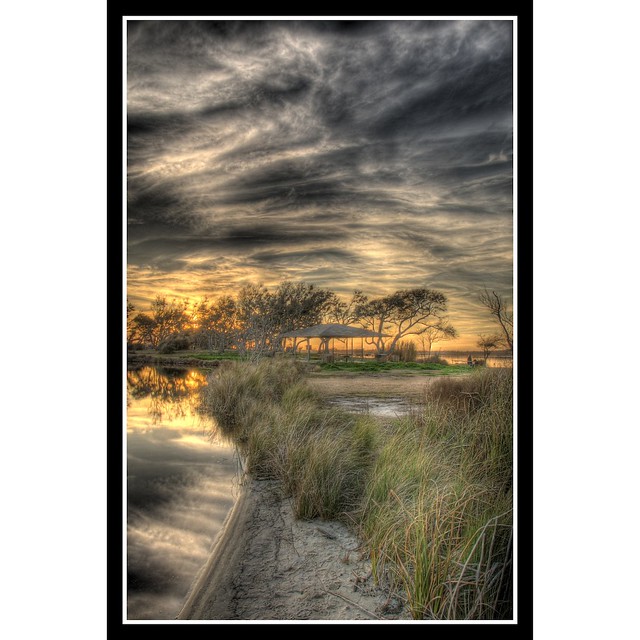 Marshy HDR by sunsurfr