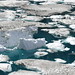 Icebergs in the lake