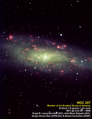 Spiral galaxy NGC 247
