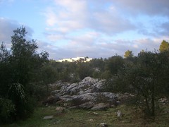 Gan Sacar, Morning View