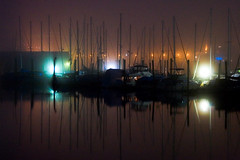 Foggy Harbour