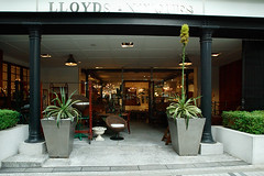 Lloyd's Antiques Aoyama/ロイズ・アンティークス青山