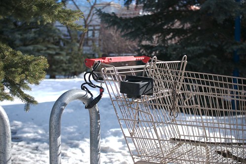 shopping cart #21