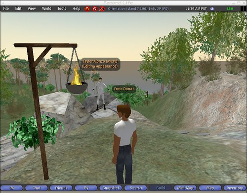SecondLife on FreeBSD