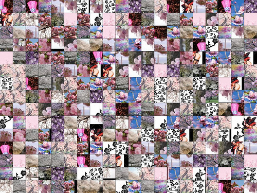 Cherry Blossoms montage