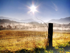 country with fog and sun / campagna by rtv75