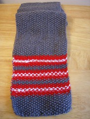 Seed and Stripes Red Scarf #4