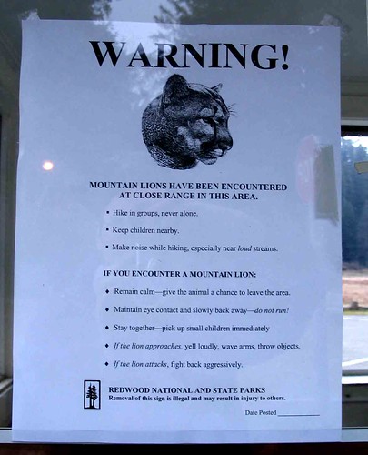 Mountain Lion warning