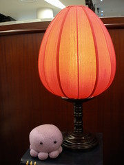 momo under the lamp I