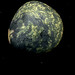 Small Planet 1413