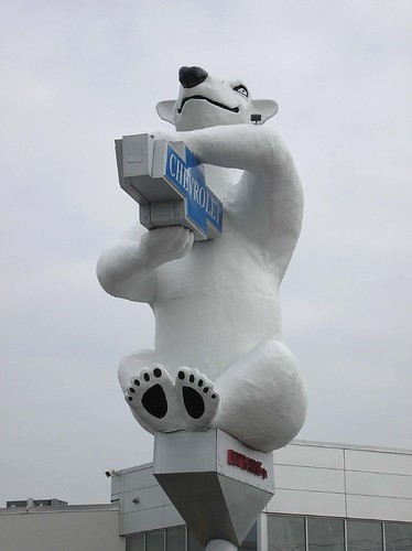 World's Largest Polar Bear