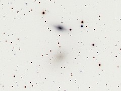 NGC 5011B