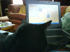 Sally likes to Blog
