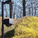 Pelco Surveillance & Blooming Forsythia (McLean, VA)
