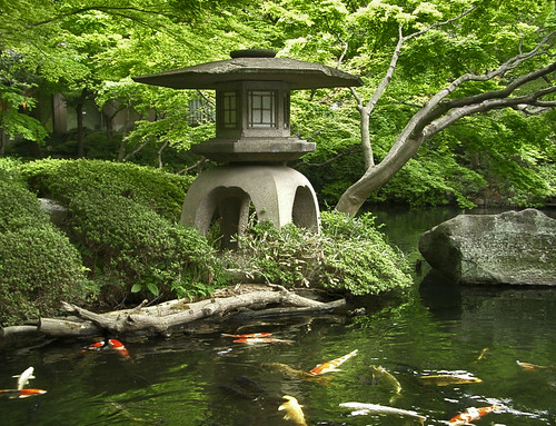 Japanese Garden by NatashaP.