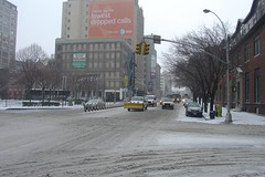New York in the snow #8