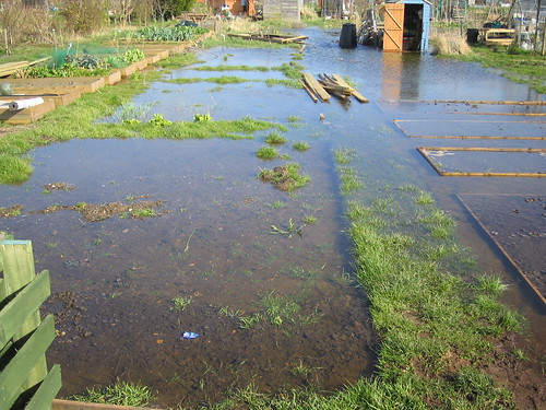 flooding in the allotment
