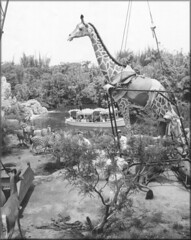 Jungle Cruise construction - by Tom Simpson