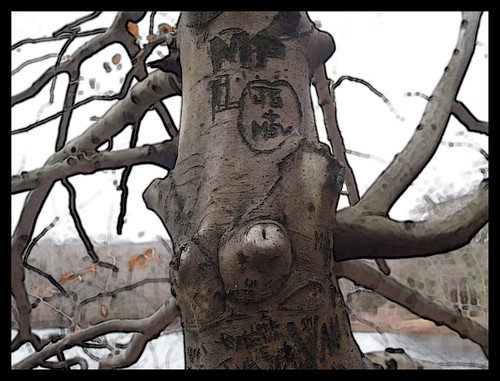 tattoo trees. tattoo tree