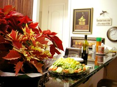 Poinsettia on the counter, MS