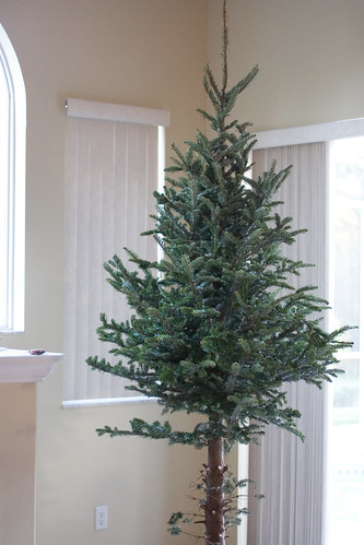 Bottomless Christmas Tree
