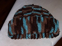 Basic Crocheted Hat