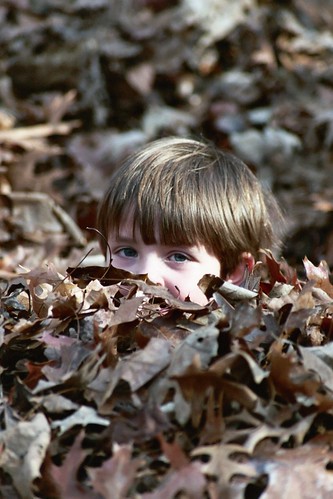 Will in the Leaves