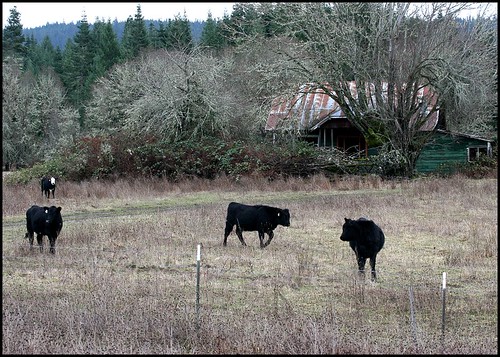 house and barn4