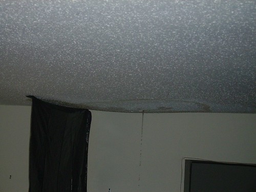 Ceiling Leak 004