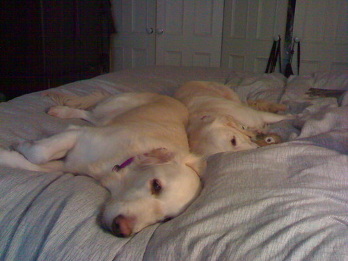 Sleeping sisters