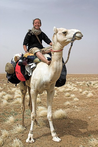 How I got my camel's license