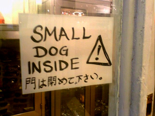Warning small dog