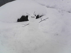 Snow Alien!