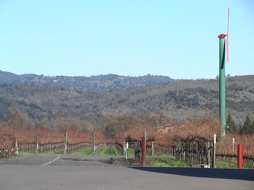 Into the hills from Cakebread