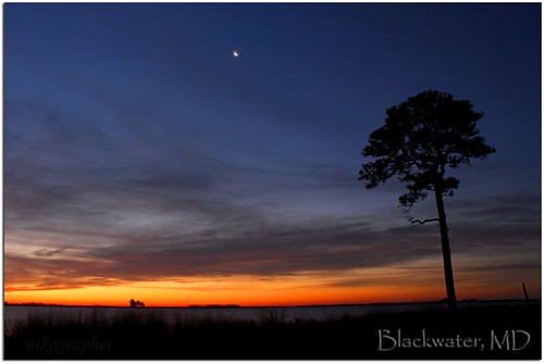 Sunrise @ Blackwater, w/ Moon