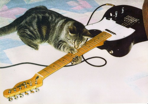 'Cat Scratch Fever' - Ottawa 2002 by Mikey G Ottawa.