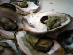 Steamed Oysters
