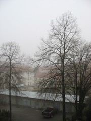 Frost and fog in Stuttgart, Christmas morning 2006