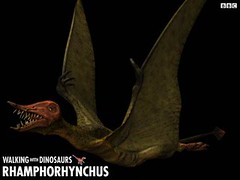 Rhamphorhynchus