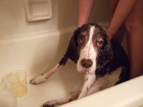 Feidler gets a bath