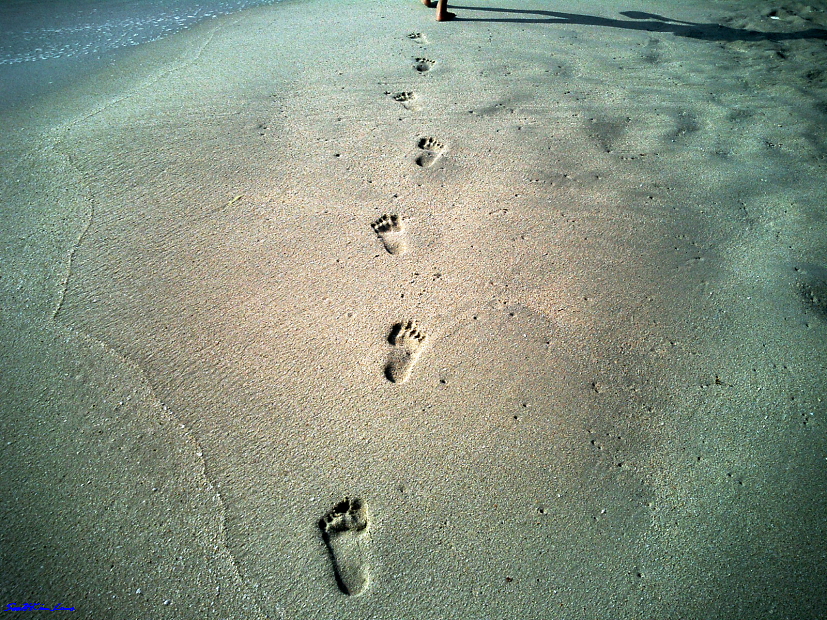 FootSteps... @ Koh Samui, Thailand
