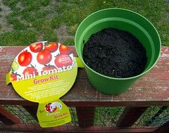 Mini Tomato Grow Kit
