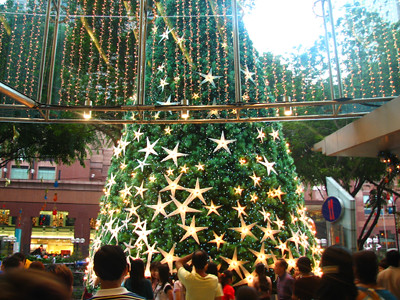 Star Tree At Paragon Mall