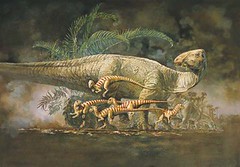 Tenontosaurus and Hypsilophodonts
