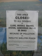 No digging of carniverous whelks