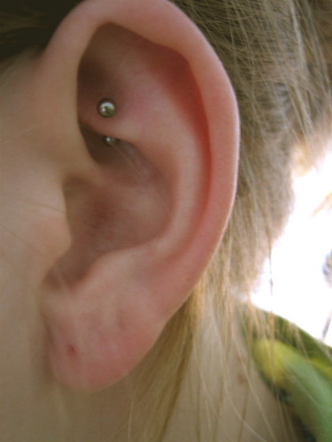 Thinking About Getting A Tragus Or Industrial Piercing Social Drowned 
