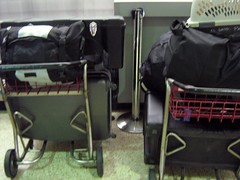Luggage Carts at MIA