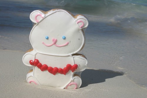 Cookie Bear on the beach